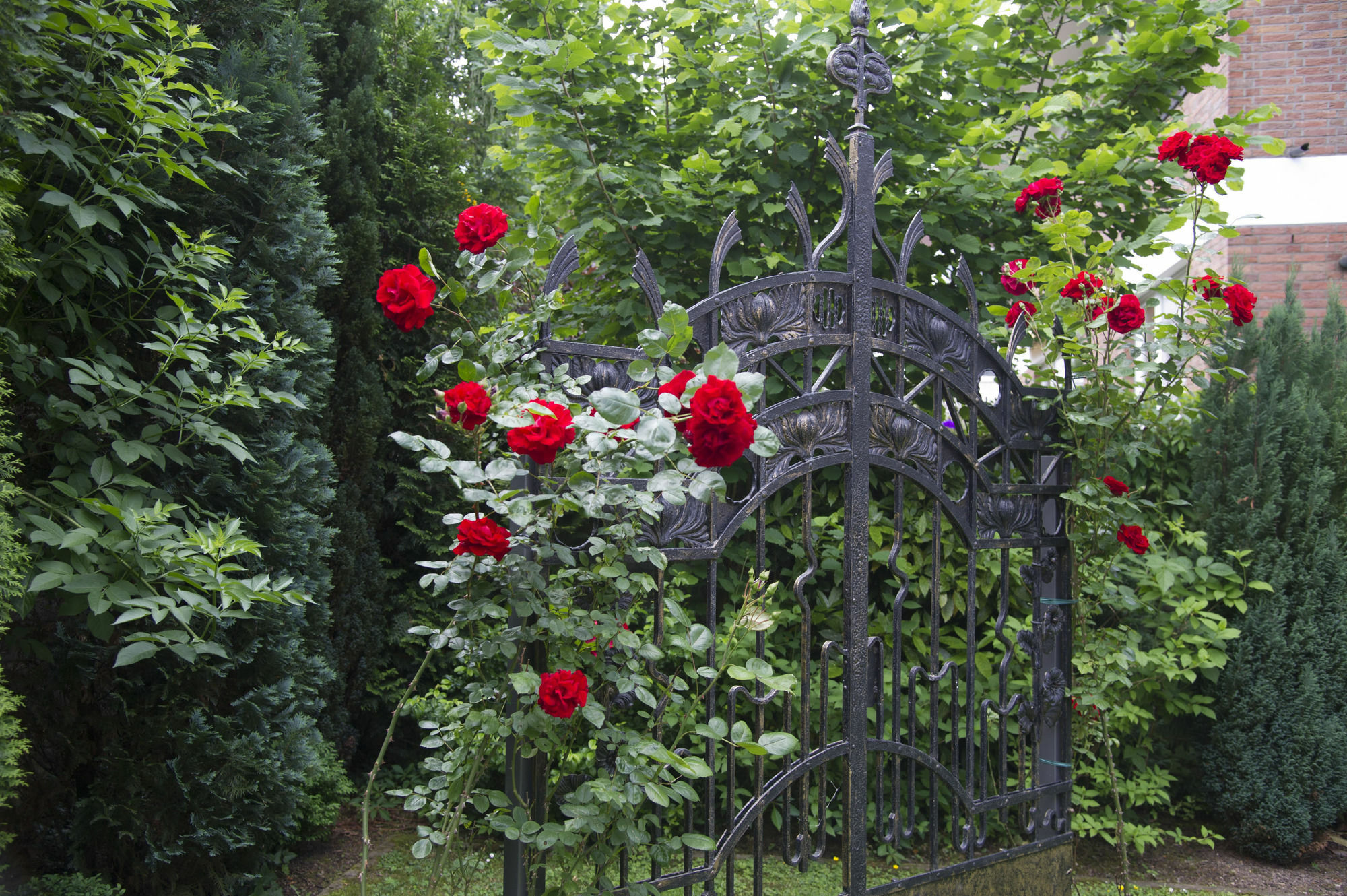 Boutiquehotel Dreesen - Villa Godesberg Bonn Exteriér fotografie