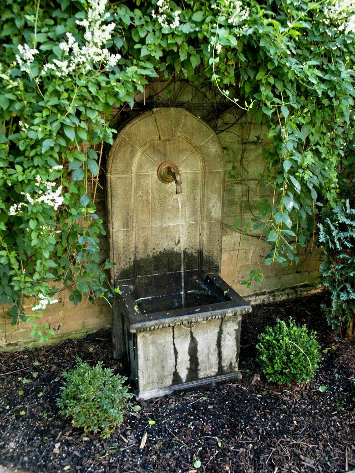 Boutiquehotel Dreesen - Villa Godesberg Bonn Exteriér fotografie